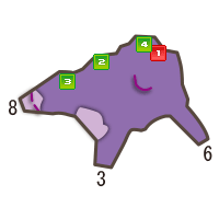 孤岛_7